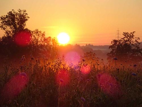 Sonnenaufgang-am-Ersberg